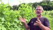 Vin de paille: la Corrèze veut se faire une place avec le Jura