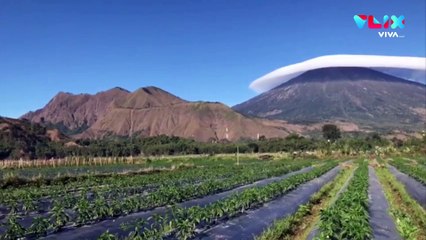 Fakta Fenomena 'Awan Topi' di Gunung Rinjani
