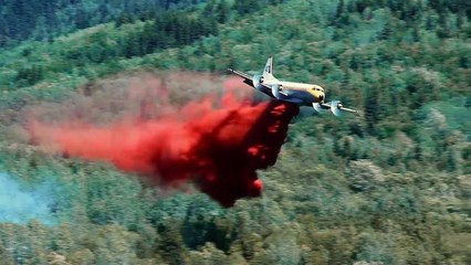 Playing With Fire 2019 - Trailer