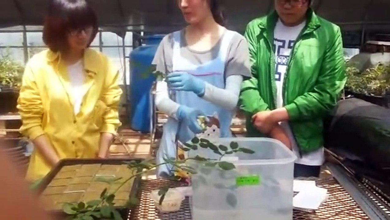 함양출장아로마≑함양출장안마 -후불100%ョØ1ØS2671S8135｛카톡LA369｝ 함양전지역출장안마 함양오피걸 함양출장마사지 함양안마 함양출장마사지 함양콜걸샵キギク