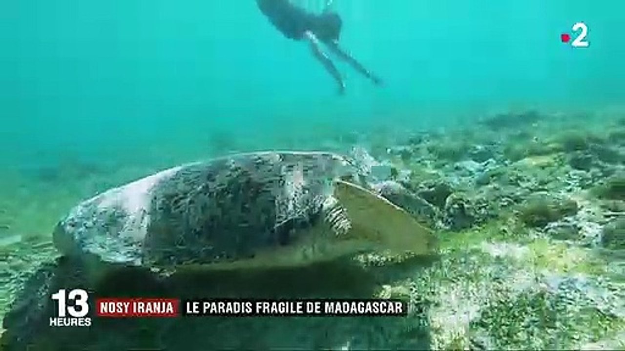 Madagascar : à la découverte d'une perle de l'océan Indien