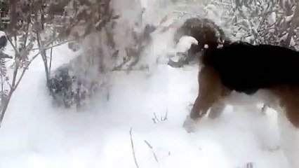 일산출장아로마≑일산출장안마 -후불100%ョØ7ØA7575A0062｛카톡DK654｝ 일산전지역출장안마 일산오피걸 일산출장마사지 일산안마 일산출장마사지 일산콜걸샵ぐけぉ