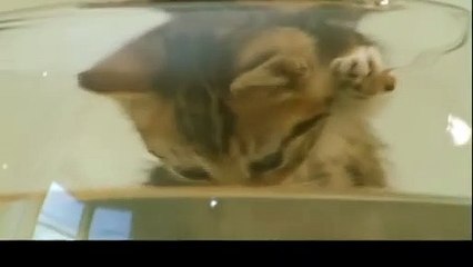 인제출장안마 -후불100%ョØ1ØE2659E1768｛카톡KP93｝ 인제전지역출장안마 인제오피걸 인제출장마사지 인제안마 인제출장마사지 인제콜걸샵ぱひふ