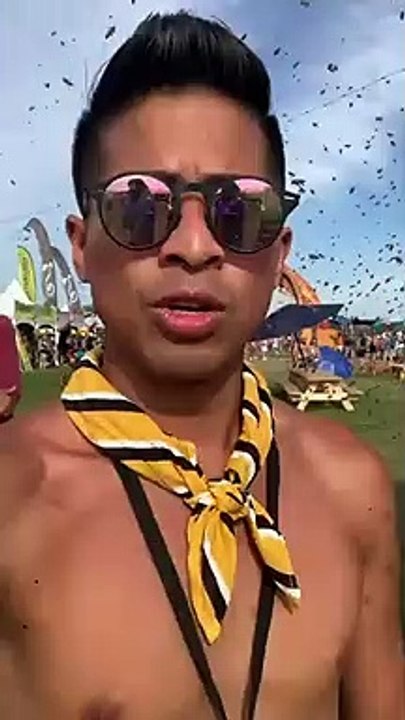 Quand des abeilles envahissent un festival et sèment la panique - Rothbury Michigan