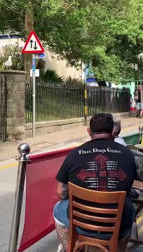 Regardez qui vient lui voler sa nourriture en pleine rue... Inattendu