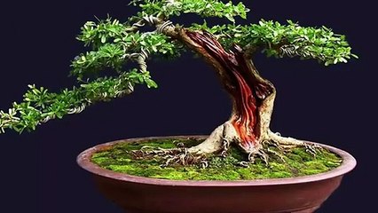 유성구출장안마 -후불100%ョØ7ØS7301S9649｛카톡LA666｝ 유성구전지역출장안마 유성구오피걸 유성구출장마사지 유성구안마 유성구출장마사지 유성구콜걸샵БГД