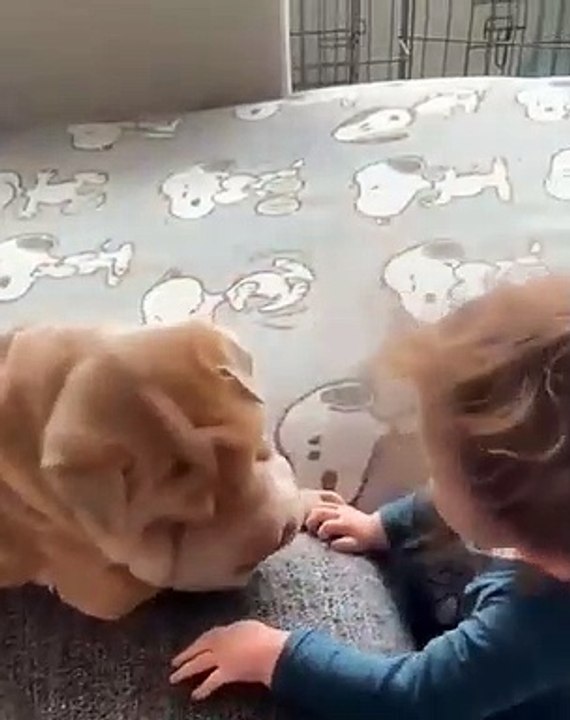 Quand bébé donne des bisous à un bulldog. Adorable !