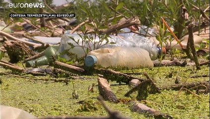 Hungria limpa rio Tisza