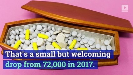 Drug Overdose Fatalities Have Dropped in the US