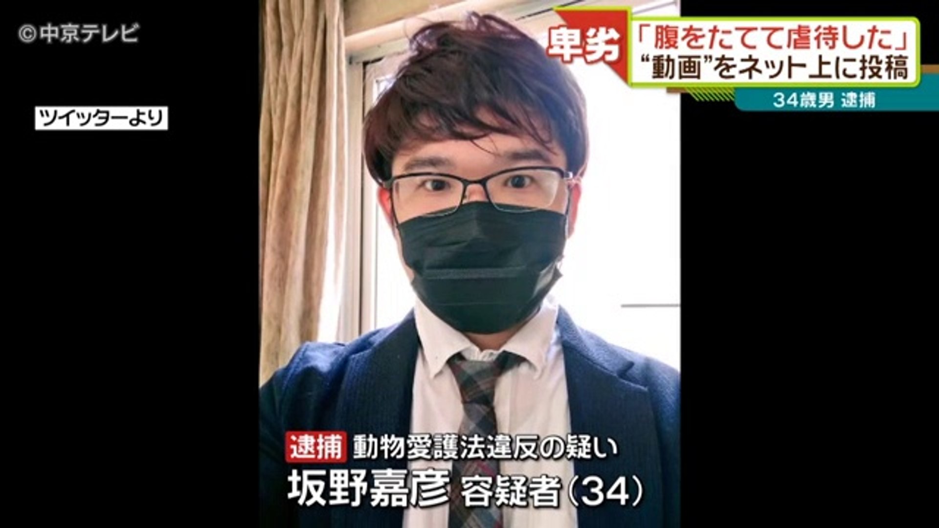 胸糞注意 インコ虐待動画投稿の韓流黒マスク男 動物愛護法違反容疑で逮捕 バカッター 動画 Dailymotion