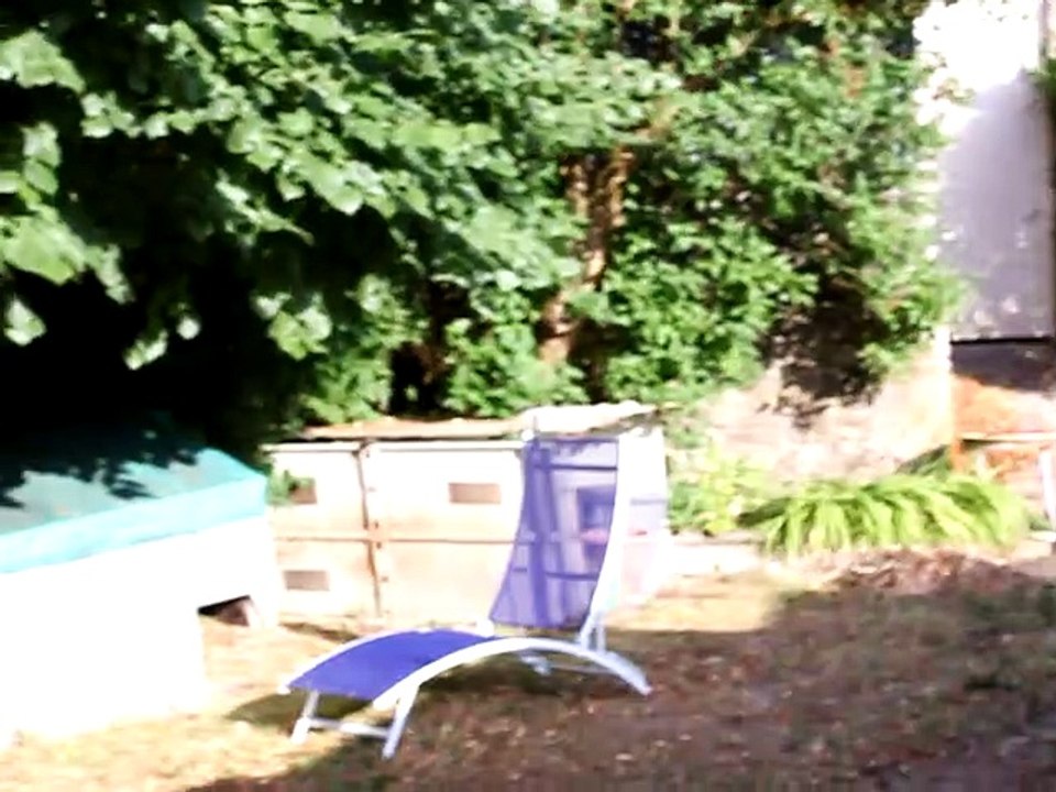 envol des mes hirondelles 1