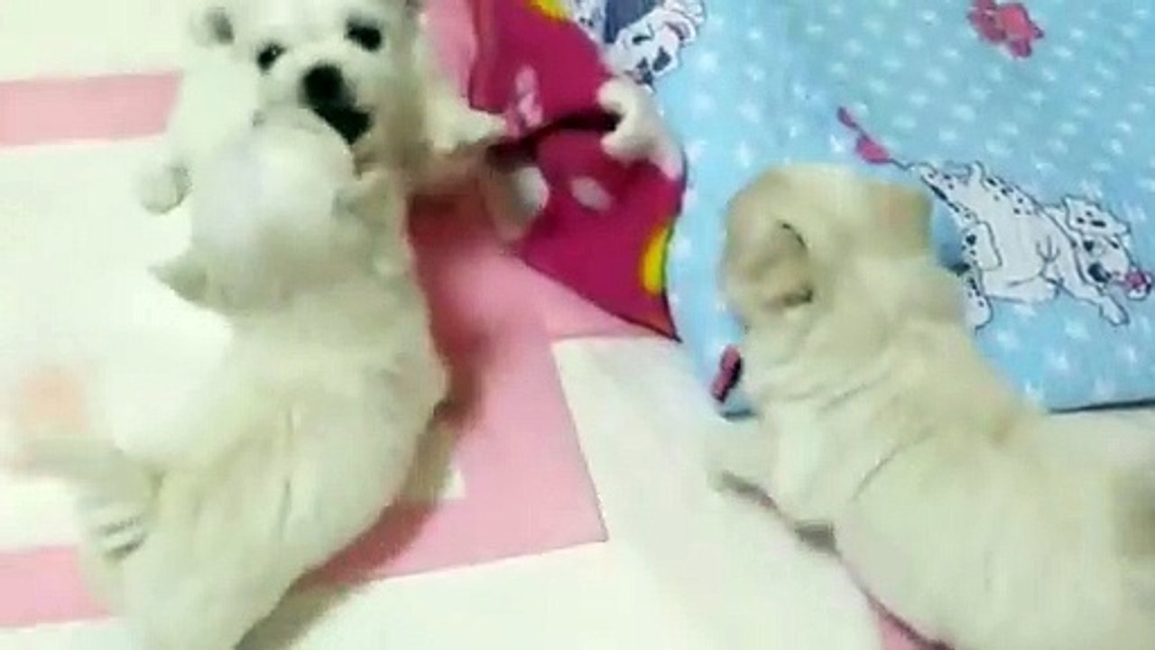 부안출장아로마≑부안출장안마 -후불100%ョØ7ØA7575A0062｛카톡DDR88｝ 부안전지역출장안마 부안오피걸 부안출장마사지 부안안마 부안출장마사지 부안콜걸샵ぬねの
