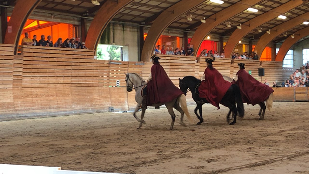 Spectacle équestre « cheval mon histoire »