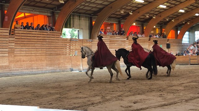 Spectacle équestre « cheval mon histoire »