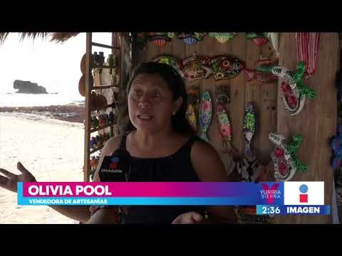 Sargazo afecta a las playas mexicanas y al turismo de Quintana Roo | Noticias con Yuriria Sierra