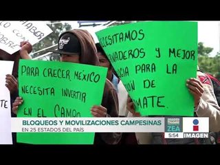 Campesinos realizan bloqueos carreteros en 25 estados del país | Noticias con Francisco Zea