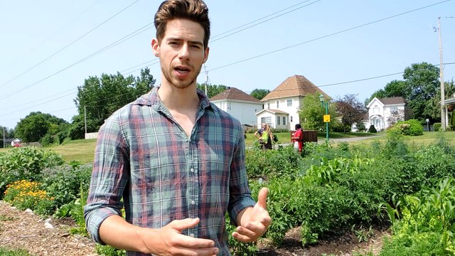 Cultivons Châteauguay est actif tout l'été