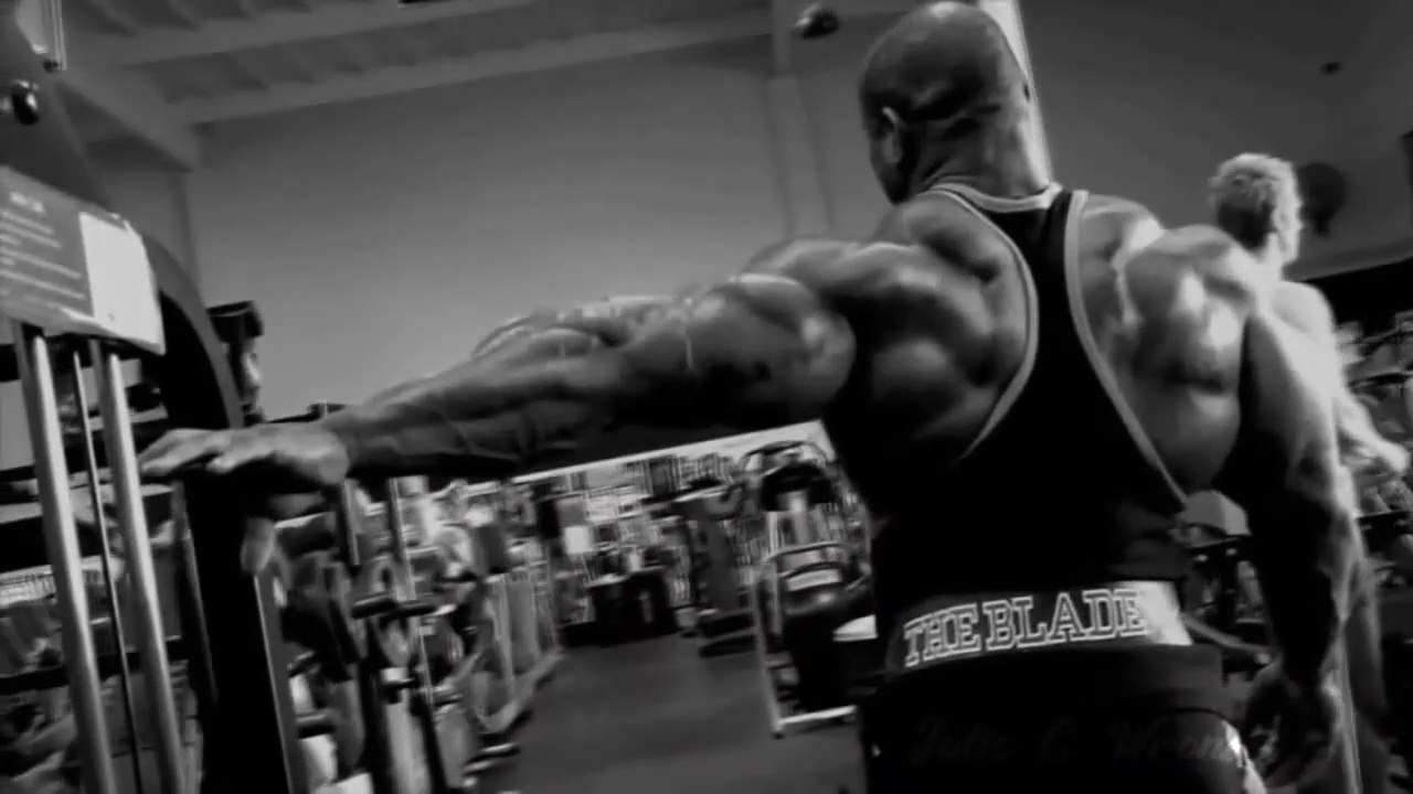 Guia básico de dieta para iniciantes na academia