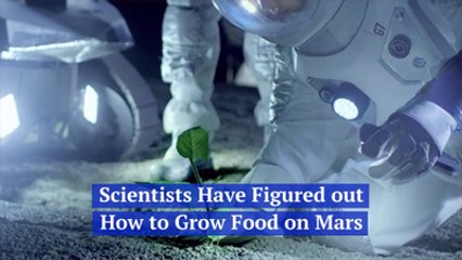 Scientists Figure Out Growing Food On Mars