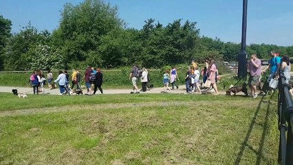 Dogs big day out for Alice House Hospice