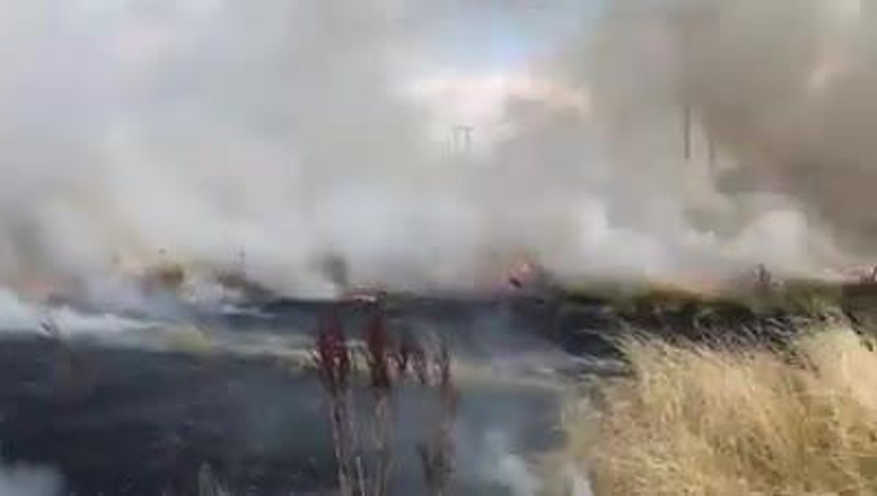 Grass fire in Bedford