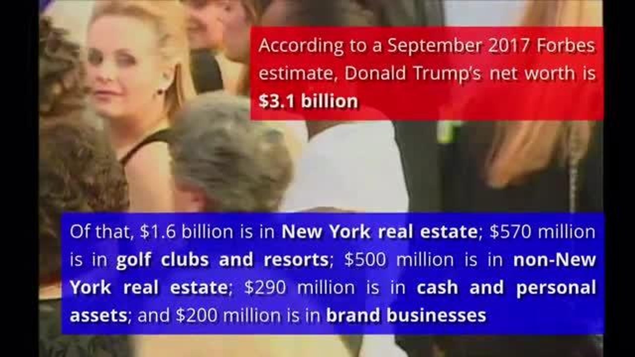 Donald Trump profile