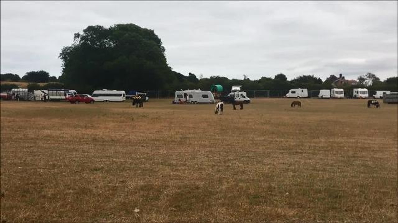 Travellers in Seamer