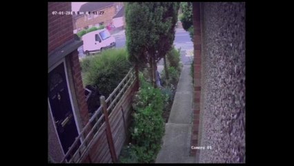 Bungling gnome thief