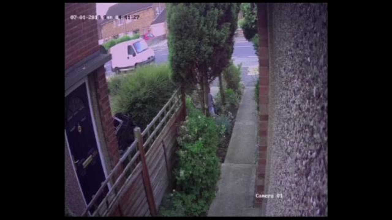 Bungling gnome thief