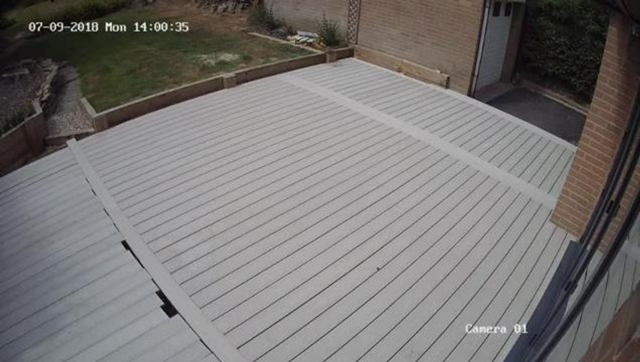 CCTV of the burglar
