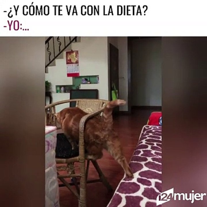 ¿Y cómo te va con la dieta?