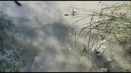 Leighton Buzzard pond replenished by firefighters