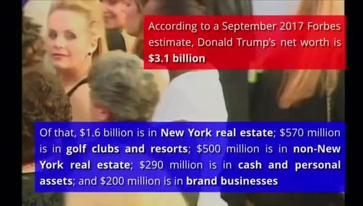 donald Trump explainer