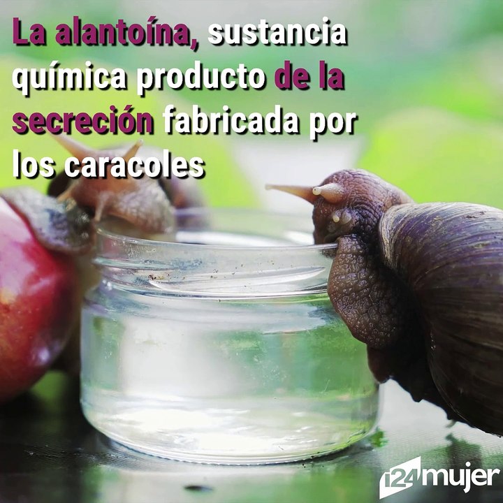 Beneficios que no imaginarás de la baba de caracol para tu belleza