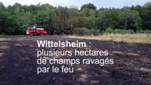 Champs en feu à Wittelsheim : plusieurs hectares ravagés par les flammes