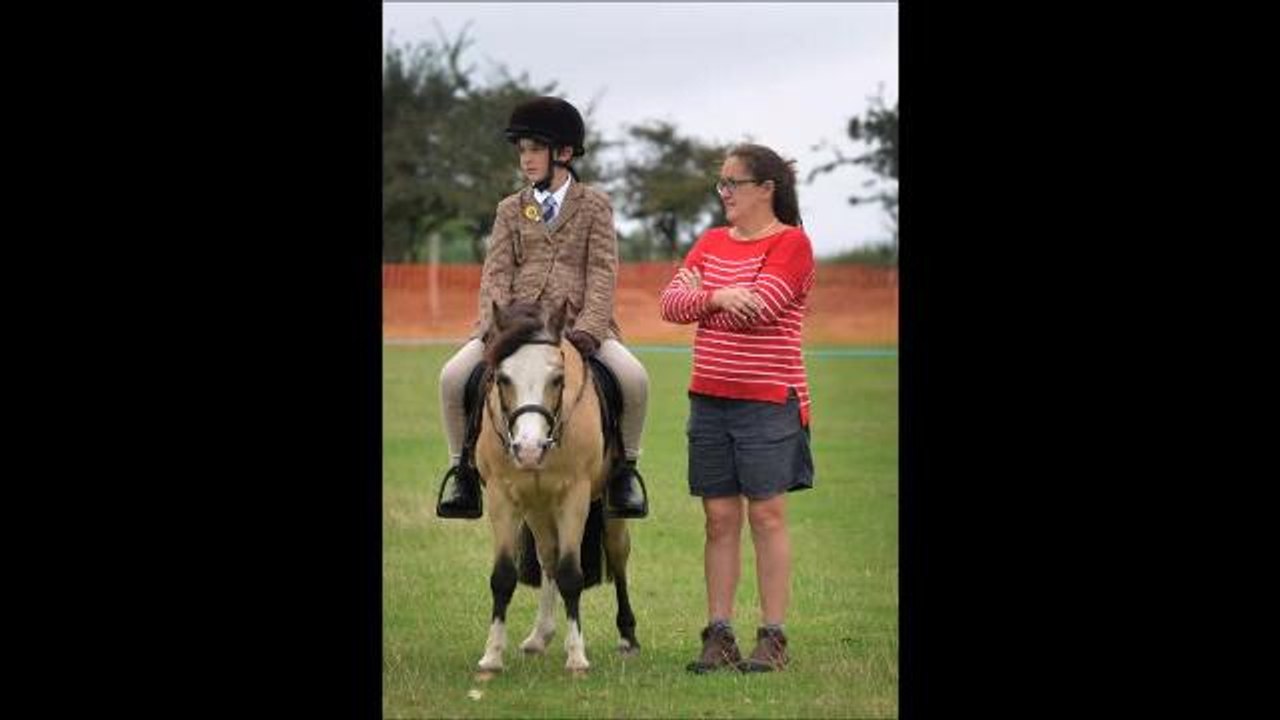 Rye Country Show
