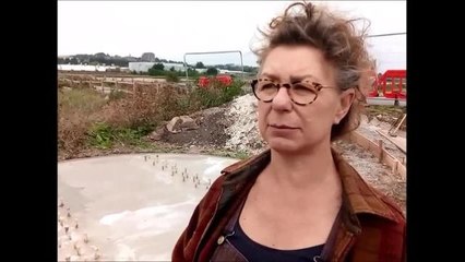 David Parfitt and Jane Fordham discuss the project