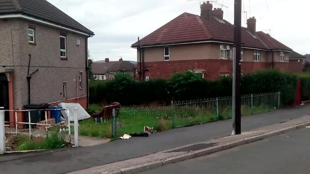 Woman slashed in the neck on Sheffield street