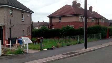 Woman slashed in the neck on Sheffield street