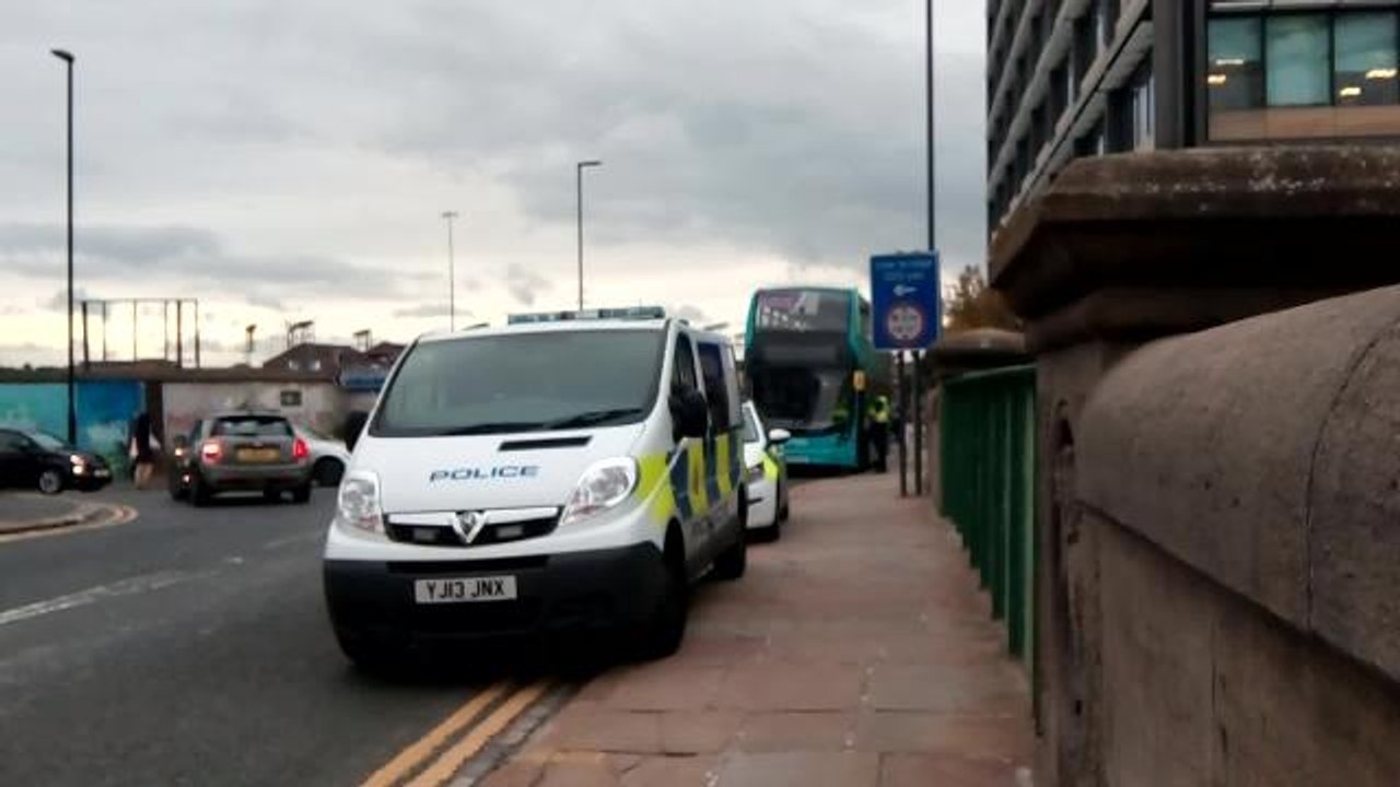 The buses