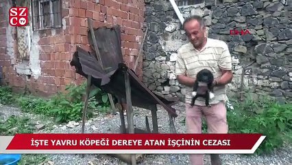 Download Video: Yavru köpeği dereye atan işçinin cezası belli oldu