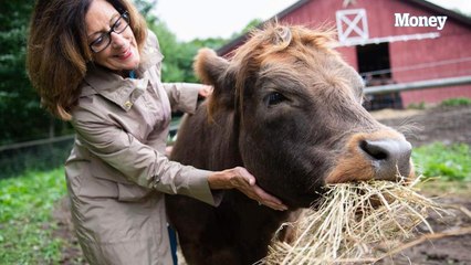 You can cuddle cows at this farm for $75 and it will change your life for the better