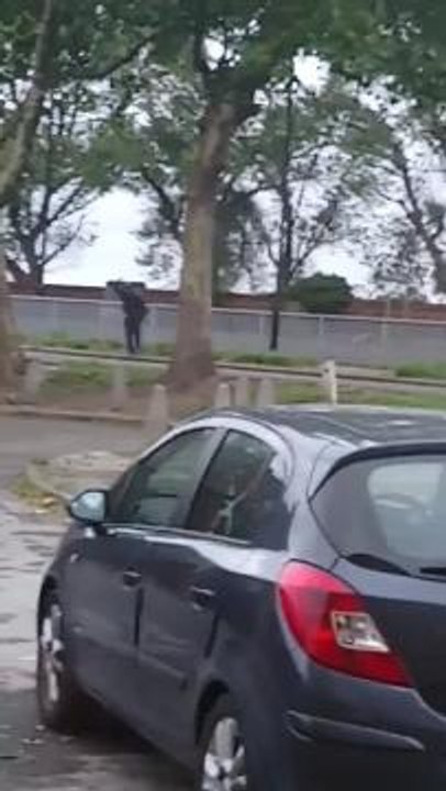 VIDEO: Wood man