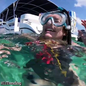 Estas tres formas de pedir matrimonio te harán creer por siempre en el amor