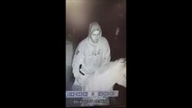 Hooded man caught on CCTV hitting a pet pony