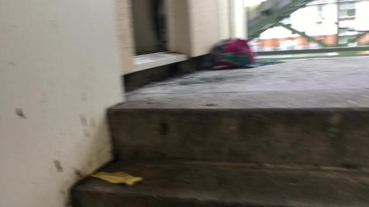 Arson investigation