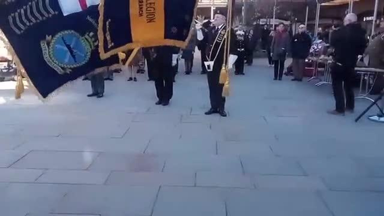 Poppy Appeal
