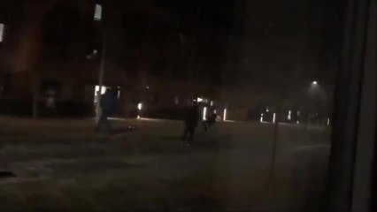 University firework culprit caught on camera