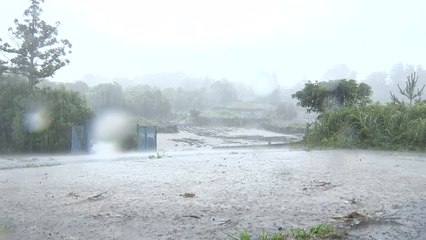 [날씨] 남부·제주 강한 장맛비...주말 태풍 상륙 / YTN