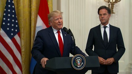 EEUU derribó un dron iraní en el estrecho de Ormuz: Trump